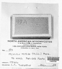 Image Associated With the Occurence